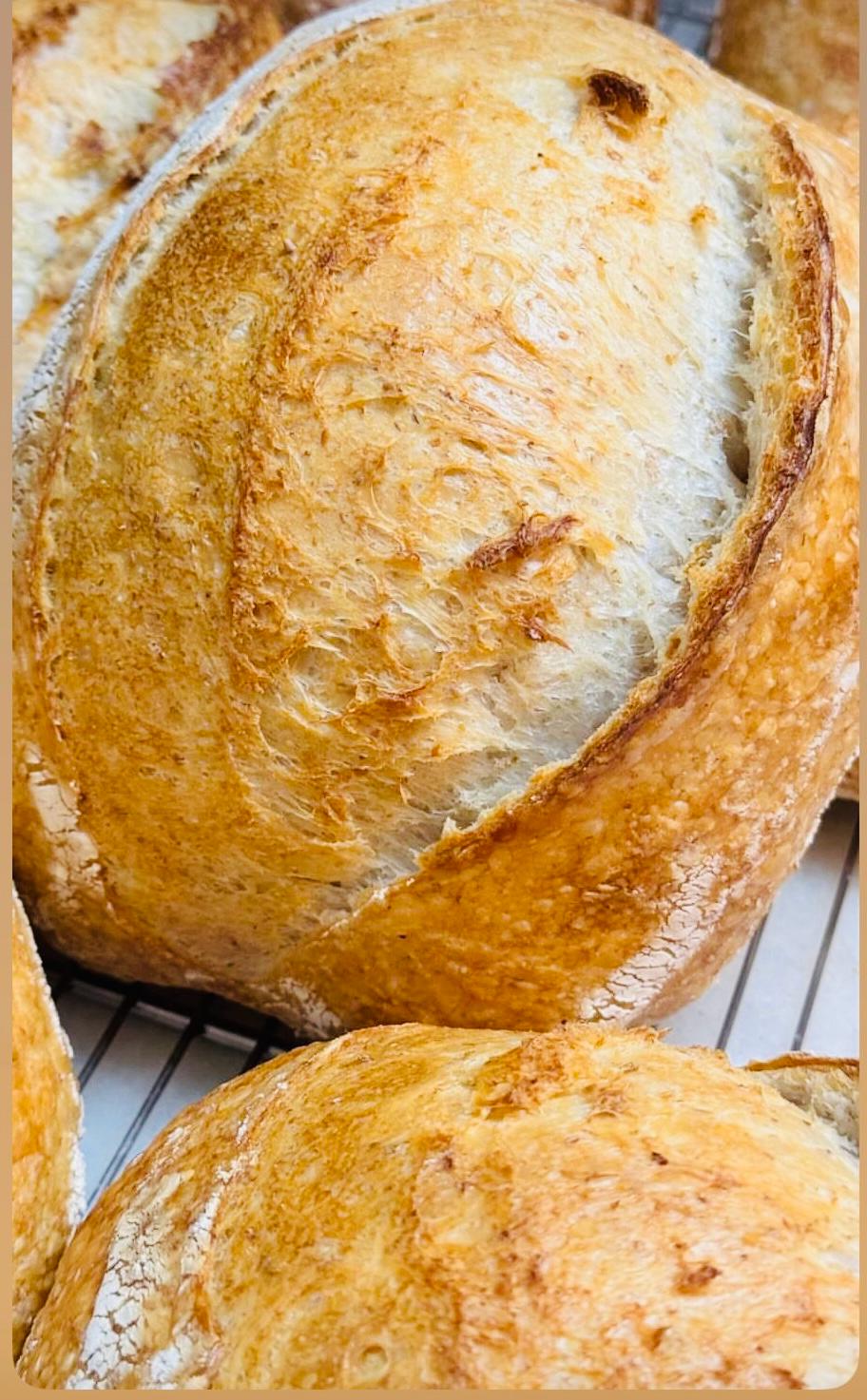 The Science of Consistency: Scaling Artisanal Fermentation